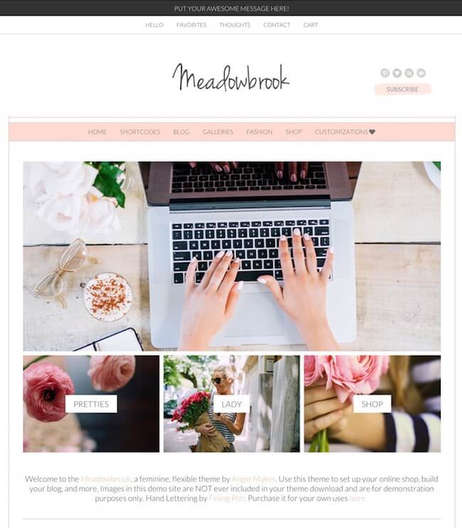 The Meadowbrook Boutique WordPress Theme