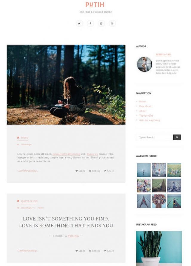 15 Best Premium Tumblr Themes 2024 | Begindot