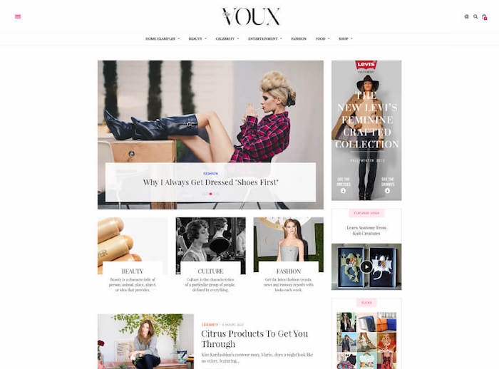 voux theme begindot