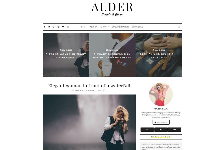 Alder Elegant Blogspot Template