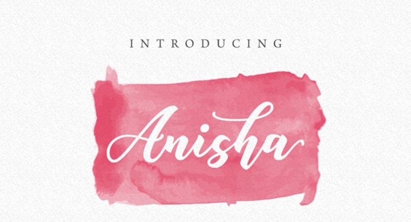 Anisha WordPress Theme