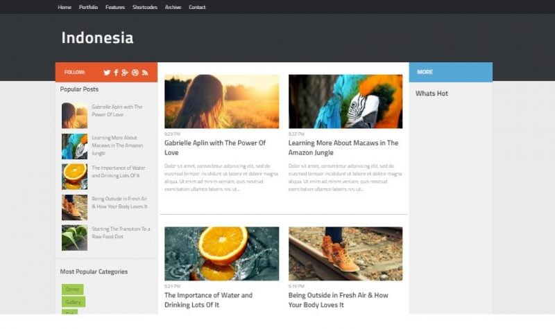 Indonesia Magazine Blogger Template