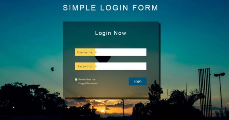 Simple Login Form