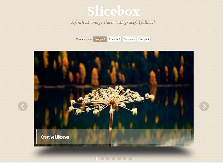 Slicebox