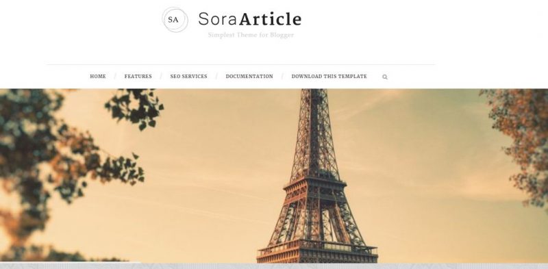 Sora Article