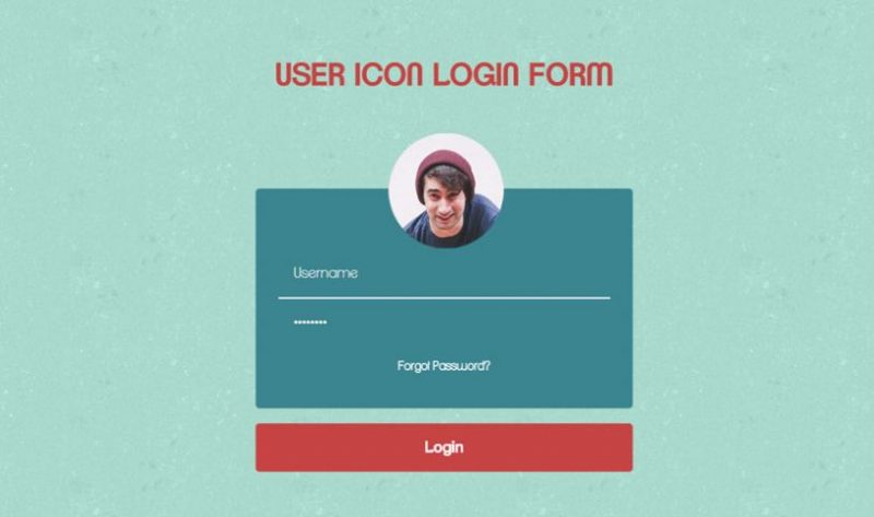 User Icon Login Form