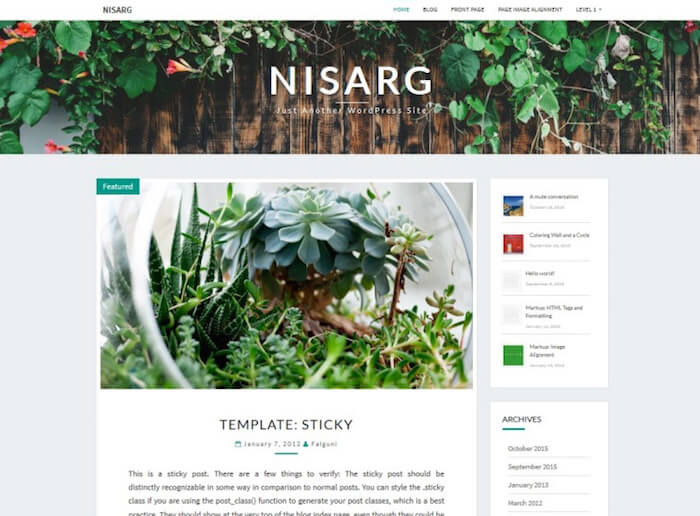 nisarg WordPress theme