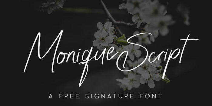 50 Best Free Calligraphy, Cursive Fonts for Designers 2020