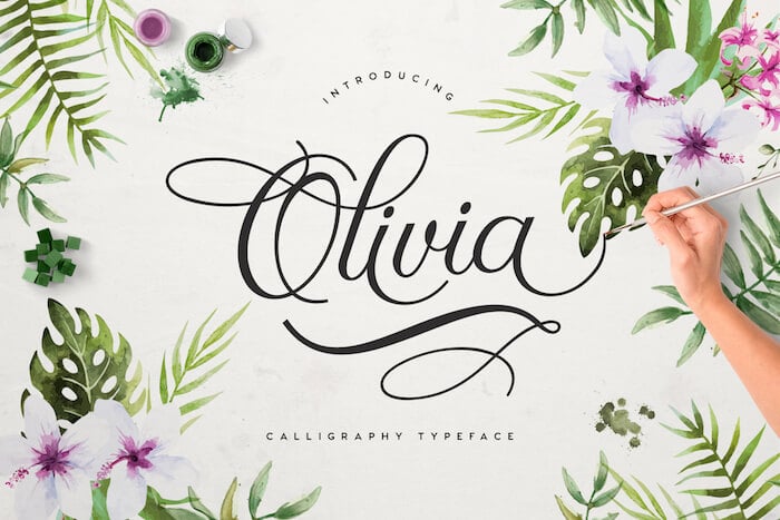 Olivia calligraphy typeface