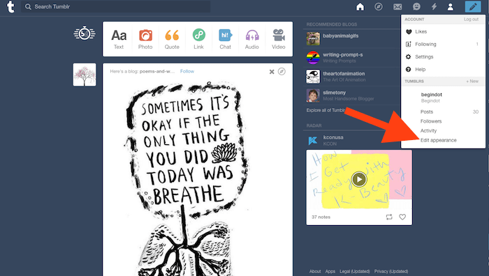 Tumblr Background option