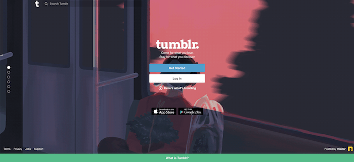 Tumblr Site