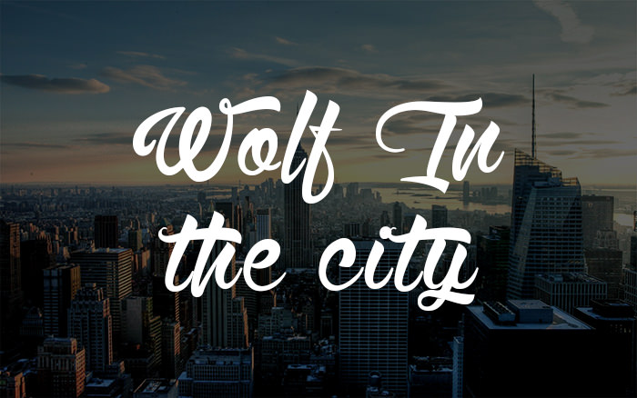 Wolf-in-the-City