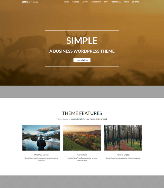 Simple WordPress Theme