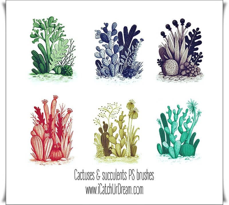 70 Cactuses Plants Brushes