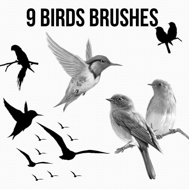 bird brushes for photoshop cs5 free download