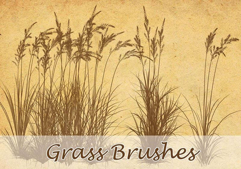 Grass Brushes