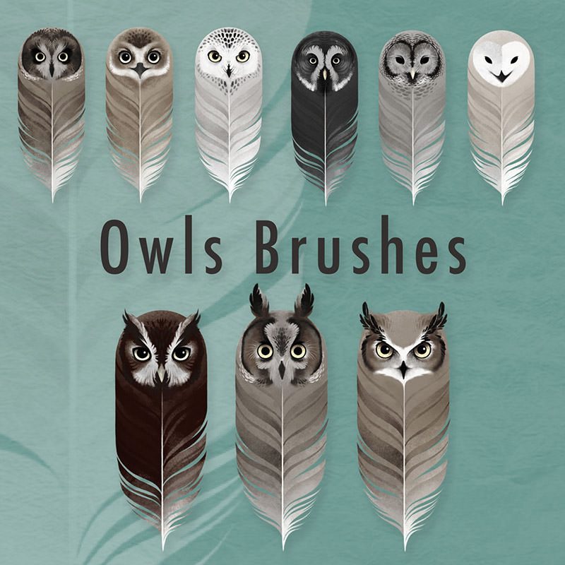 Owls Brushes