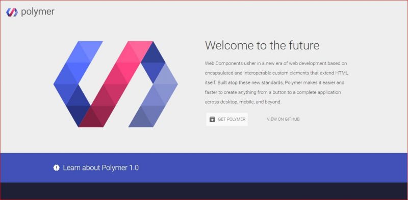 Polymer Framework