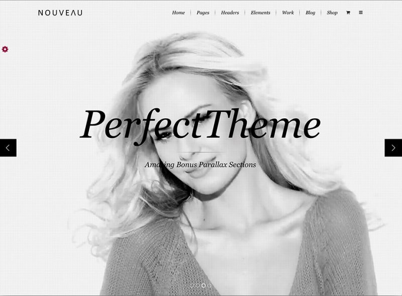 Nouveau Fashion WordPress Theme