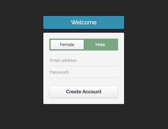 Simple CSS Registration Form