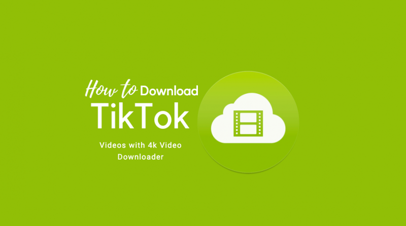 4k tiktok video downloader